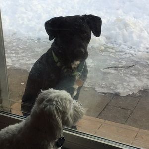 Meet your Posher, Sharon